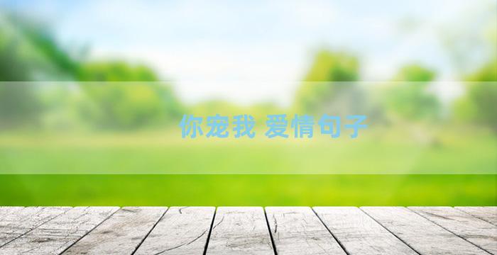 你宠我 爱情句子